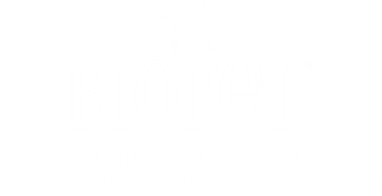 Logo Biopet